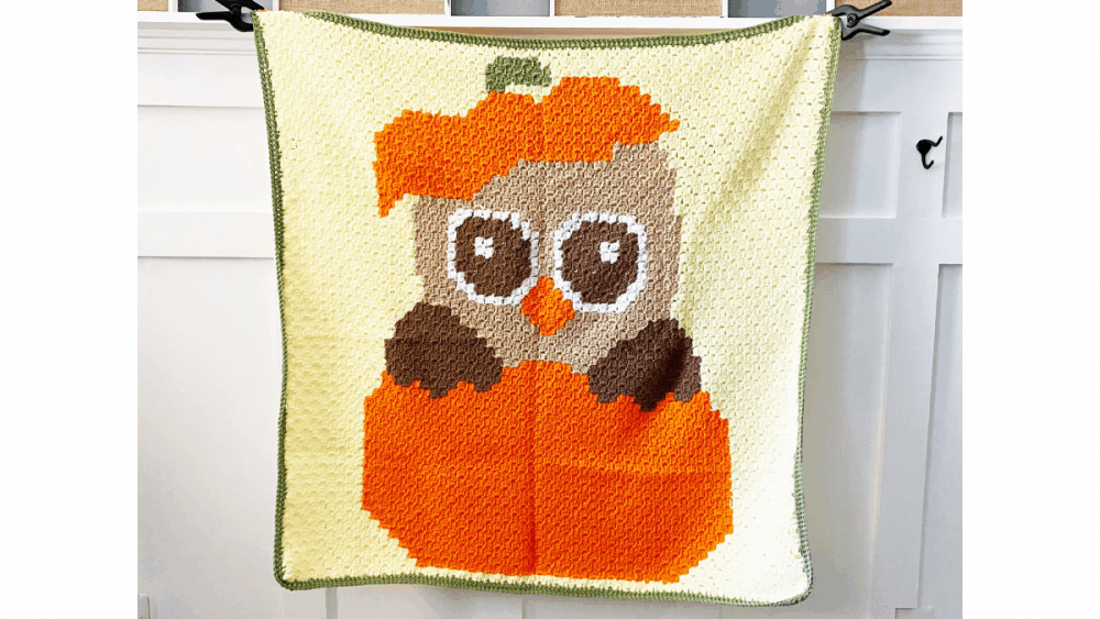Crochet Fall Owl C2C Afghan Blanket Lovable Loops
