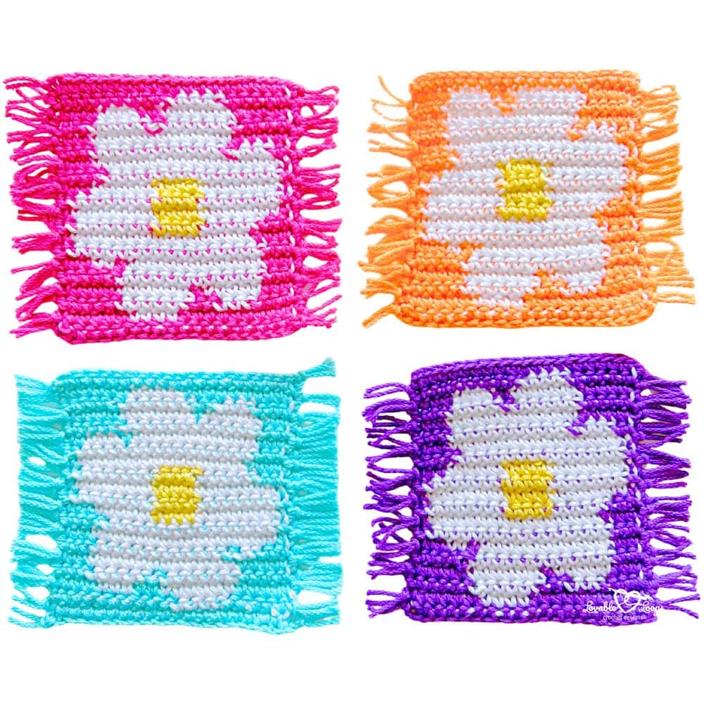 Four crochet flower coasters featuring a white daisy with yellow center, shown in pink, orange, teal, and purple backgrounds with fringe