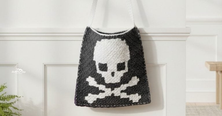 Crochet skull bag pattern