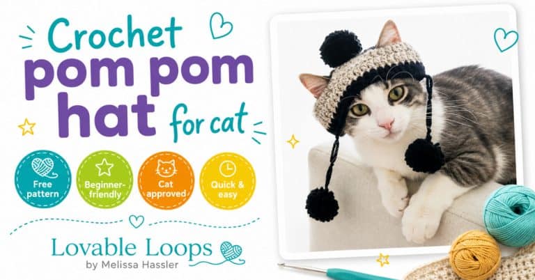 Gray and white cat wearing a black and cream crochet pom pom hat with hanging pom poms in a bright living room.