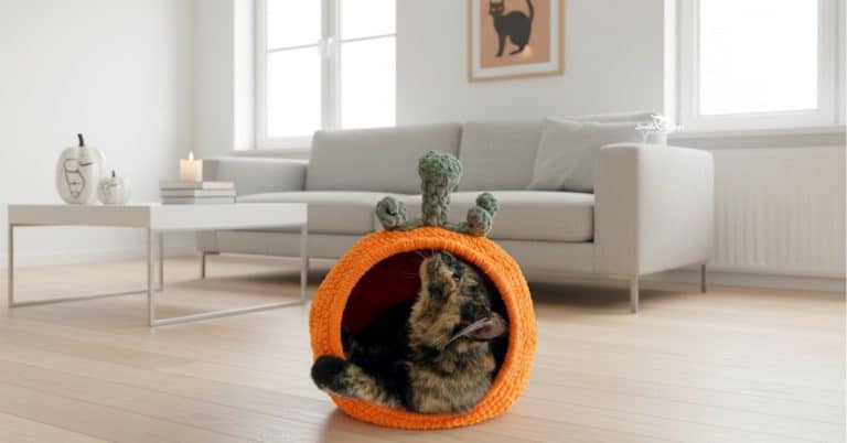 Orange pumpkin-shaped crochet cat pod with a tortoiseshell cat inside, styled in a bright modern living room.
