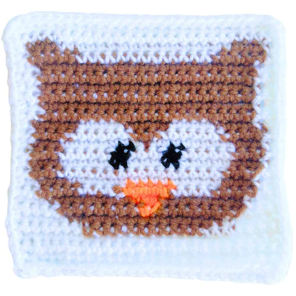 Brown owl crochet square with large white eyes, black pupils, orange beak, and a white crochet background.
