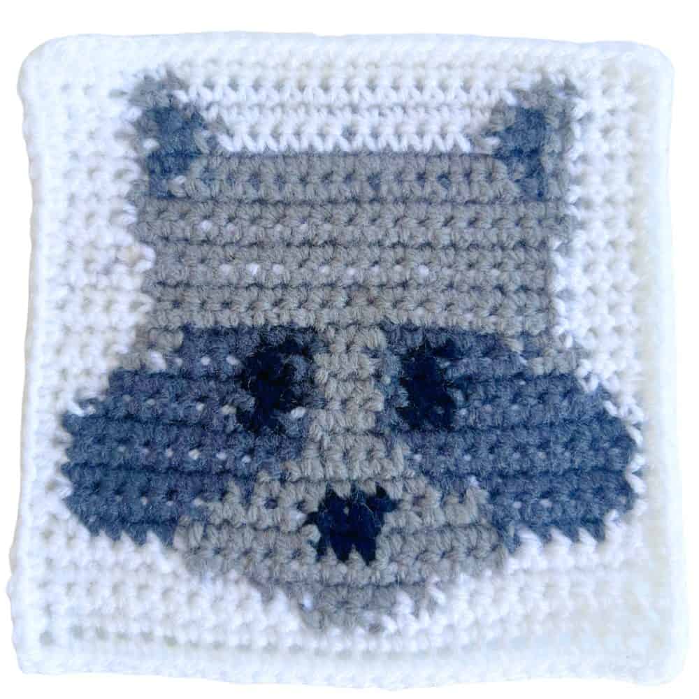 Crochet raccoon square with a gray raccoon face, black eyes and nose, dark mask details, and a white crochet background.